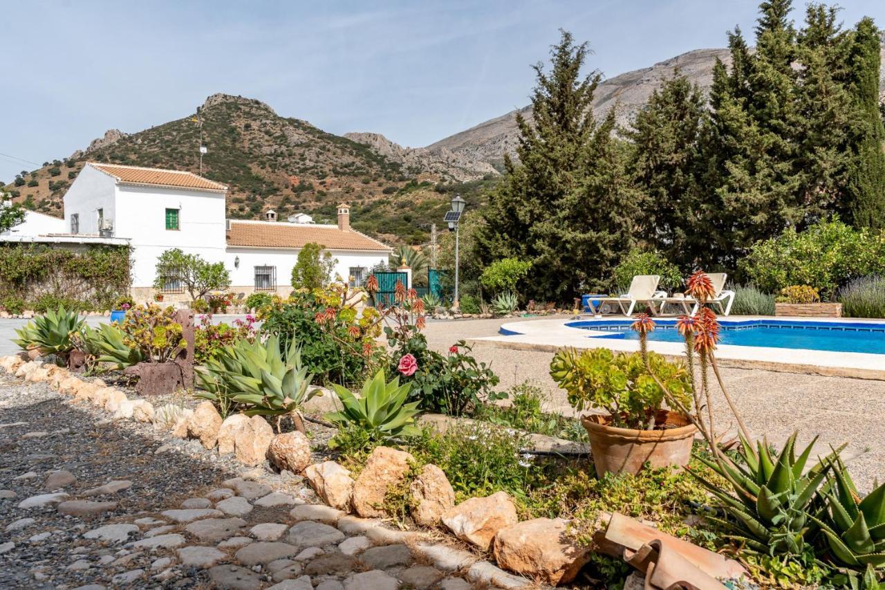 Alojamiento Rural El Viso 엘 초로 외부 사진