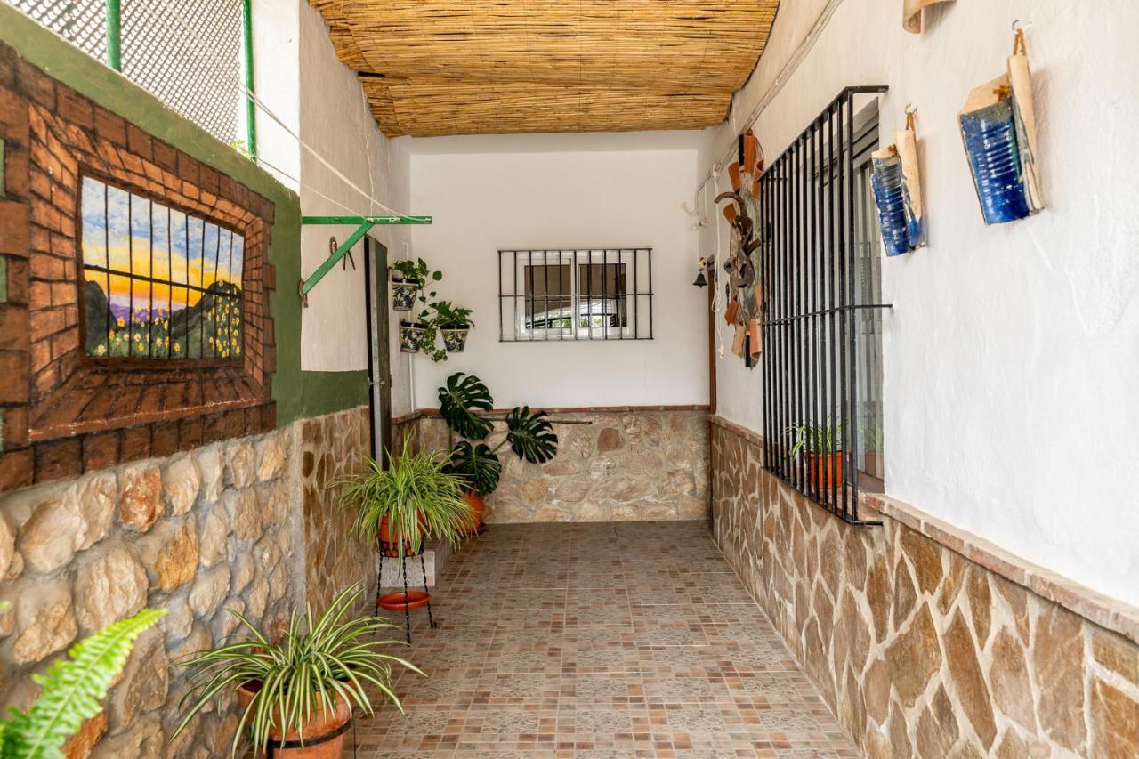 Alojamiento Rural El Viso 엘 초로 외부 사진