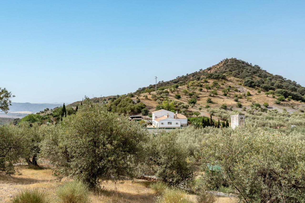 Alojamiento Rural El Viso 엘 초로 외부 사진